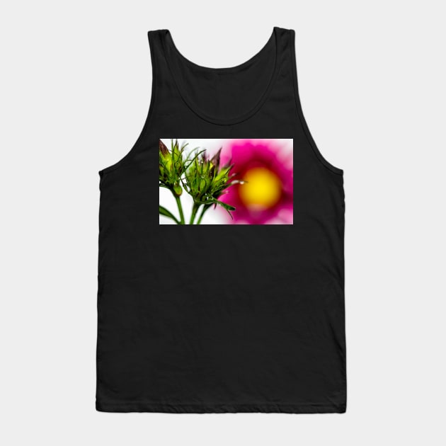 Spiky Green Plant on a Colorful Background Poster Tank Top by jecphotography